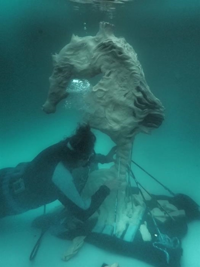 Update: Largest seahorse takes shape in pool